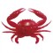 Super Crab 6" - Solid Red