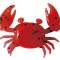 Super Little Crabs 1" - Solid Red